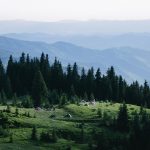 Подорожі Карпатами: практичний путівник для мандрівників