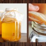 Чайний гриб (комбуча): користь, приготування та де придбати SCOBY в Україні