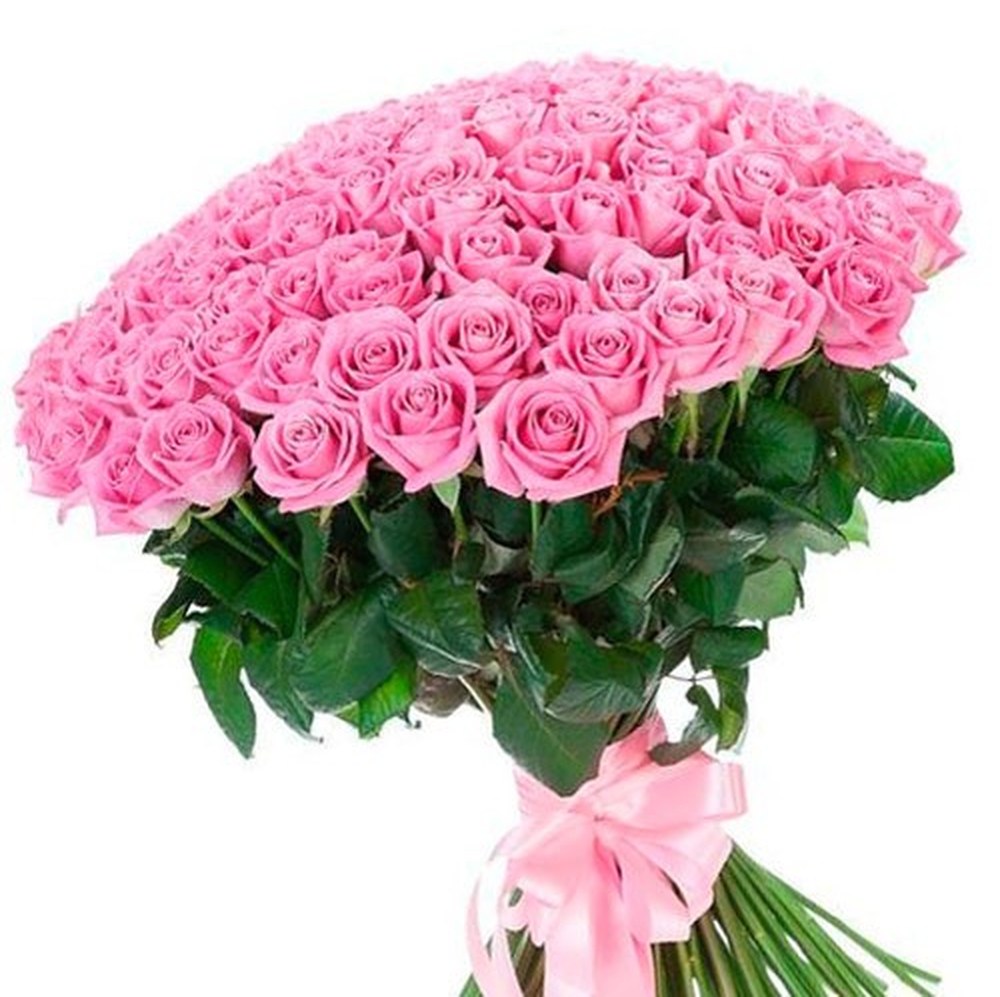101 рожева троянда 60 см