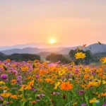 Список справ на літо для дітей і підлітків