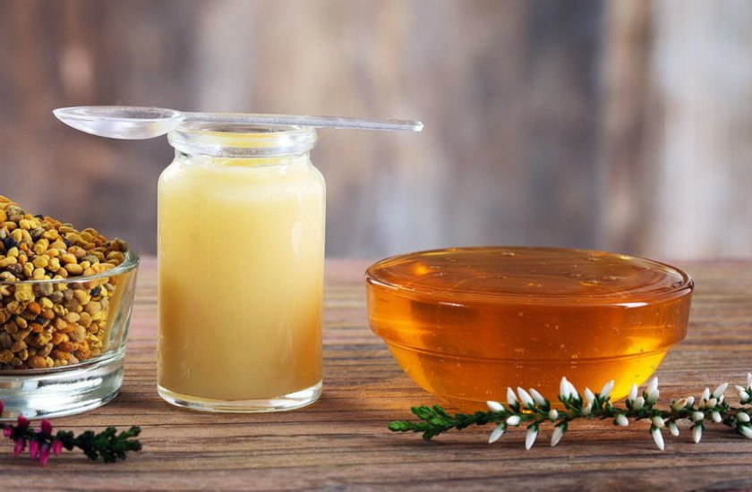 Трутневе молочко: унікальна користь для здоров’я