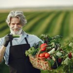 Що можна садити біля огірків: правила сумісності рослин