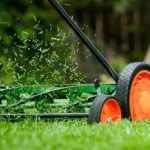 Що таке мульчування в газонокосарці: принцип роботи та користь